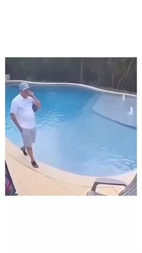MindBlown Hub on Instagram: "The post shares a 59-second compilation of viral "smooth moves" clips, including a man gracefully falling into a pool while on his phone and a skateboarder executing precise tricks, blending humor and physics to amass over 9,800 likes within hours. Replies reveal mixed reactions: admiration for the seamless editing ("Beautiful") alongside doubts about authenticity ("you can no longer trust any of these videos"), echoing 2023 studies in Nature Communications showing 6
