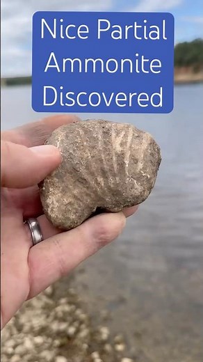 Ammonite Fossil Found Near the Dam — 85 Million Years Old!