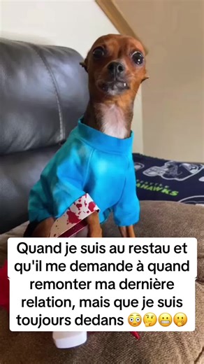 Vidéos de Splitz (@splitzzz__) avec Gangsta's Paradise (feat. L.V.) - Coolio