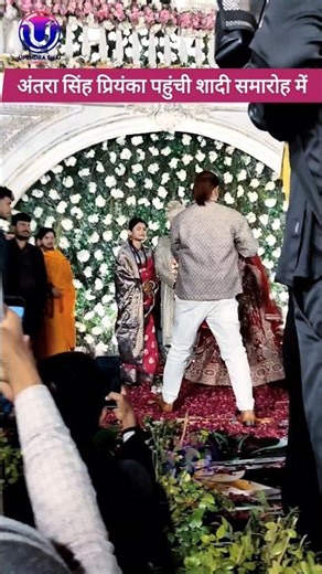 अंतरा सिंह प्रियंका पहुंची शादी समारोह मे #reelsfypシ #viralvideo #ankushraja #bhojpuri #song #shorts