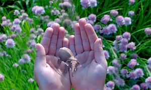 Google backs Magic Leap, a mysterious augmented reality startup (updated)