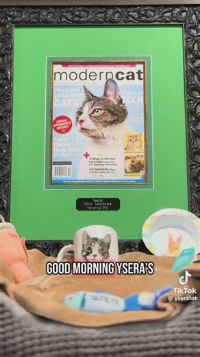 Ysera on Instagram: "Hello Ysera’s Army, Today is an incredibly difficult and tragic day for all of us. Our beloved girl, Ysera, passed away at 12:30 PM on 1/20/25. In her final days, she faced significant health challenges, and it became clear that her neurodegenerative disease had progressed rapidly. She had an appointment for her heart ultrasound that same day, which I even moved up to 12:15 PM. However, when I approached her, I sensed something was truly off. I immediately took her to emerge
