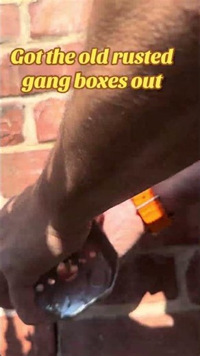 installing new gang boxes that should last another 20-30 years #diy #demo #renovation #home #shorts