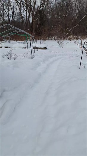 Beekeeping update 2/5/26
