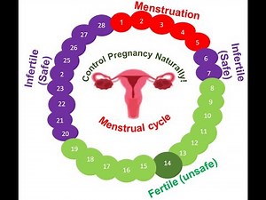 Control Pregnancy Naturally!