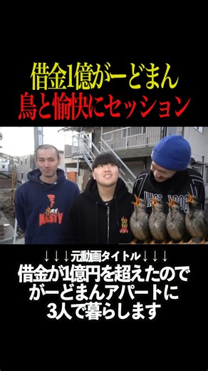 A bird that completely understands laughter lol