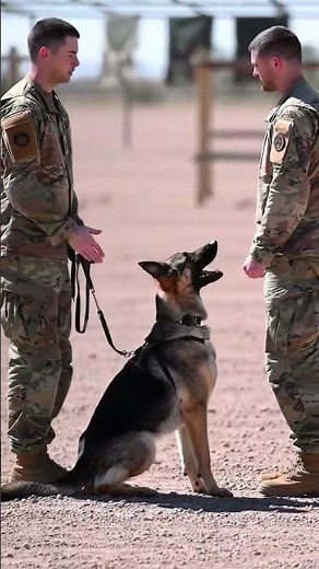 Indian Army Dog Squad in Action 🇮🇳 | Military Dog Training Like Never Before!