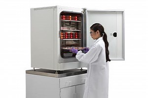 In-VitroCell NU-5841 Hypoxia RH Control CO2 Incubator