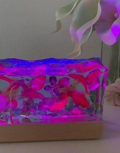 Scène d'aquarium en résine colorée avec 3 poissons rouges et 5 autres poissons - Etsy France