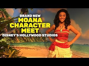 Moana Meet and Greet at Disney's Hollywood Studios