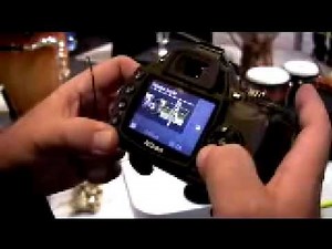 Nikon D60 Help System and Display