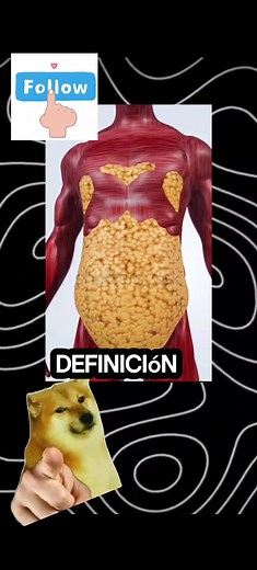 cómo hacer una definición en el gimnasio #gymmotivation #definicion #gym #perdidadepeso