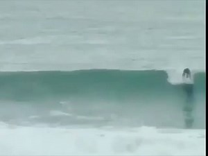 19K views · 249 reactions | Looks a bit bumpy out there.  | Kook Life | Facebook