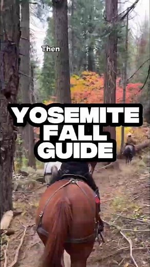 Yosemite Fall Guide 🍂 Best Views, Hikes & Hidden Gems for Fall Colors #YosemiteNationalPark