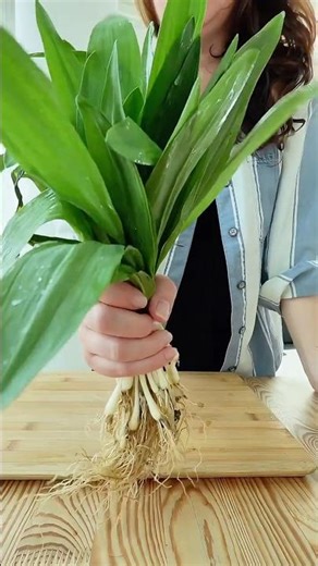 Ramp Butter (3 Ingredients, No Cooking)