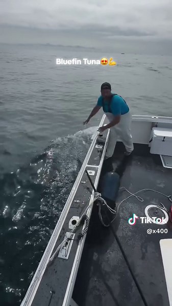 ‏Monster catch 😍😍💪💪 #x400 #🎣👩🏽‍🌾 #bluefin #tuna