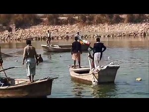 Indus River Dolphin Rescue - January 2019