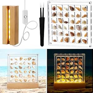 Seashell Display Case with LED Lights Wood Base and Tweezers 36 Grids Acrylic Magnetic Seashell Display Box for Small Sea Shell Transparent Sea Shell Holder Seashell Container for Home Decor