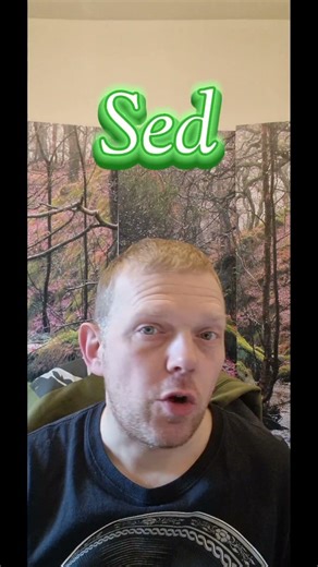 The Weird Pronunciation of "Said"! English Shock!