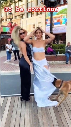 Dog's Crazy Act! Pulled Girl’s Dress Off 😂 | Fun Tube Shorts #shorts