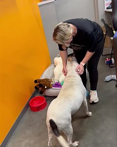 Southeast Missouri Pets on Reels