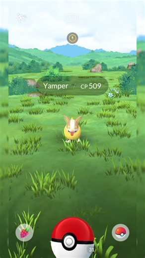 Catching a Yamper pokemon for the first time #pokemongo #pokemon