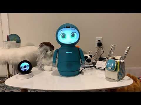 Moxie Magic - I've Got The Power