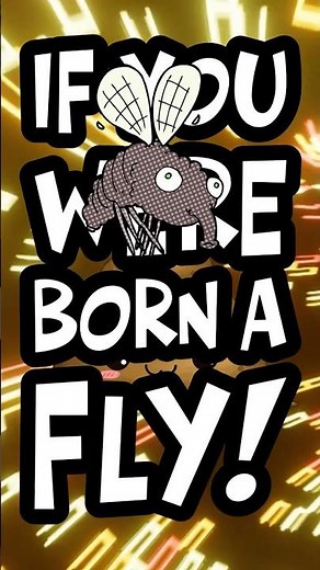 Fly on Poop 🪰💩 | Silly Rock Song Short