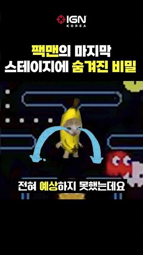 The Secret Hidden in Pac-Man's Final Stage