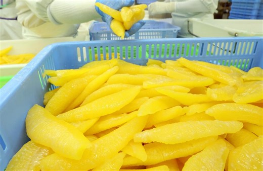 Hokkaido Seafood Company Packs Kazunoko Salted Herring Roe, A Popular Item in Osechi New Year’s Meals