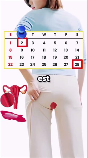 Comment calculer son cycle menstruel facilement ?