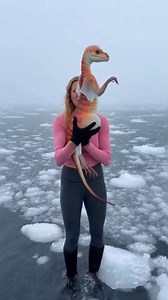 Nature never stops surprising us! This tiny and unique animal looks straight out of a fantasy world. Small in size but big on curiosity—can you guess what it’s called? Comment below if you know its name! 👀✨ Hashtags: #UniqueAnimal #NatureMystery #TinyCreature #WildlifeWonder #DidYouKnow #GuessTheAnimal #ViralVideo #FBReels #AmazingNature | Nature Unleashed