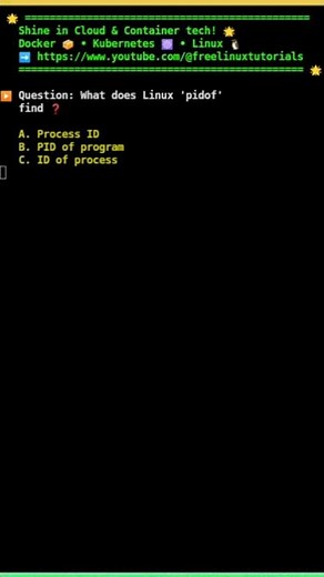 🐧Linux pidof command purpose