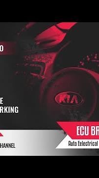 Kia Sportage Remote control not working.