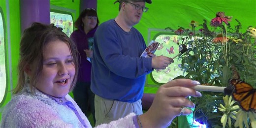 Fair visitors flock to butterfly tent