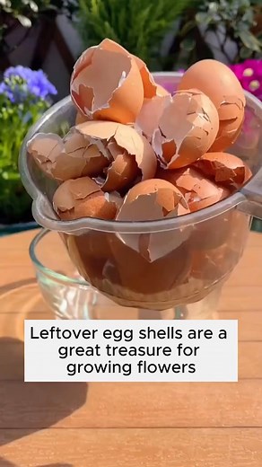 12K views · 61 reactions | Make your plants thrive  https://www.wormfarmingsecrets.com | Ecosnippets | Facebook