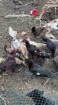 Good morning ☀️ get up late