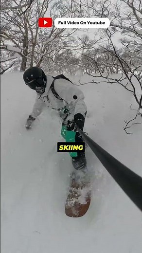 Tree Skiing Alone Justifies The Trip For Advanced Skiers
