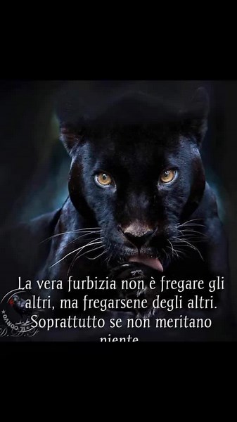 Video di spaidermen.massimo (@spaidermen008) con