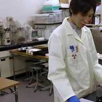 Video: Novel Methods for Intranasal Administration Under Inhalation Anesthesia to Evaluate Nose-to-Brain Drug Delivery