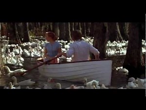 R5 - Here Comes Forever (Lyric Video)