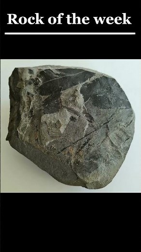 Rock of the Week: Shale