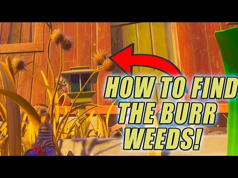 Where Are The BURR Weeds in the NEW Grounded Update | How to Make the Burr Weed Floors in Grounded