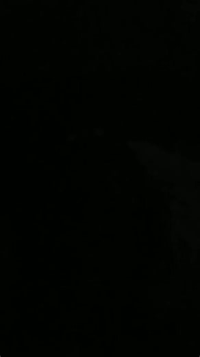 Micheal Moore (@micheal.moore49)’s videos with original sound - Micheal Moore