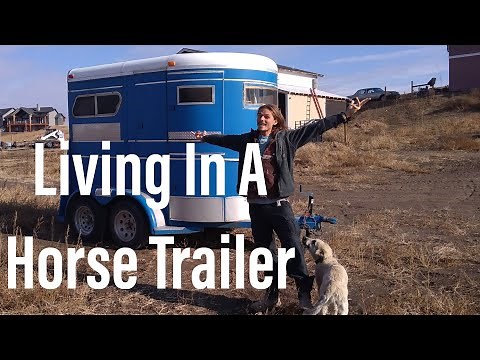 Horse Trailer Camper Conversion Minimalist Nomad