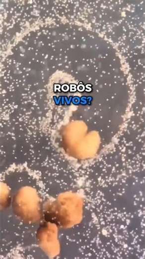 They Aren't Robots. They Aren't Animals. And They Reproduce