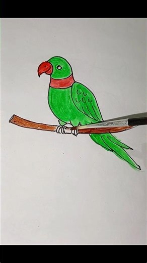 how to colour a parrot 🦜| easy colourful parrot drawing