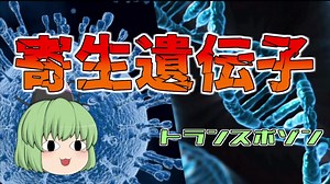 【ゆっくり解説】寄生する遺伝子 トランスポゾン