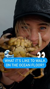 Ever walked on the seabed? You can do exactly that on Germany’s North Sea coast in Lower Saxony’s Wadden Sea National Park. There, low tides uncover vast stretches of the ocean floor.⁠ #germany #northsea #waddensea #dwtravel | DW Travel