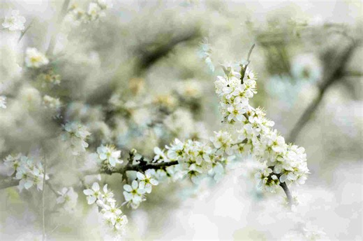 Las 15 mejores extensiones de VS Code que todo desarrollador debe probar en 2026 🚀